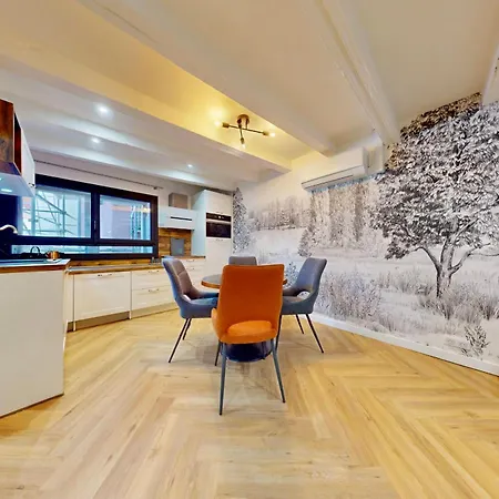 Le Mont Fuji * アヌシー